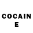 Cocaine Fish Scale Katja Kostjutsenko
